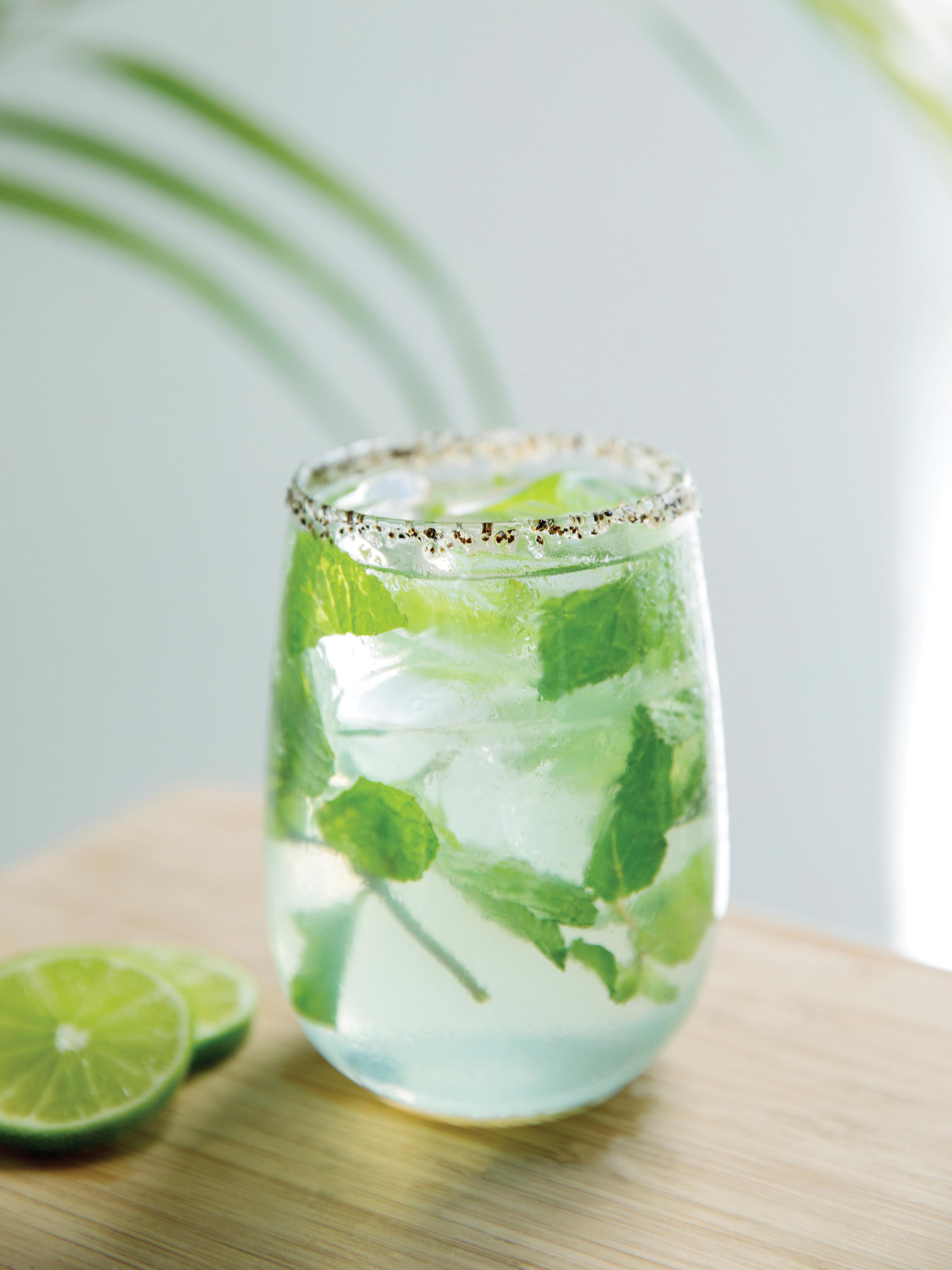 Mojito Cocktail at an All Inclusive Resort Mojito Cocktail at an All Inclusive Resort
