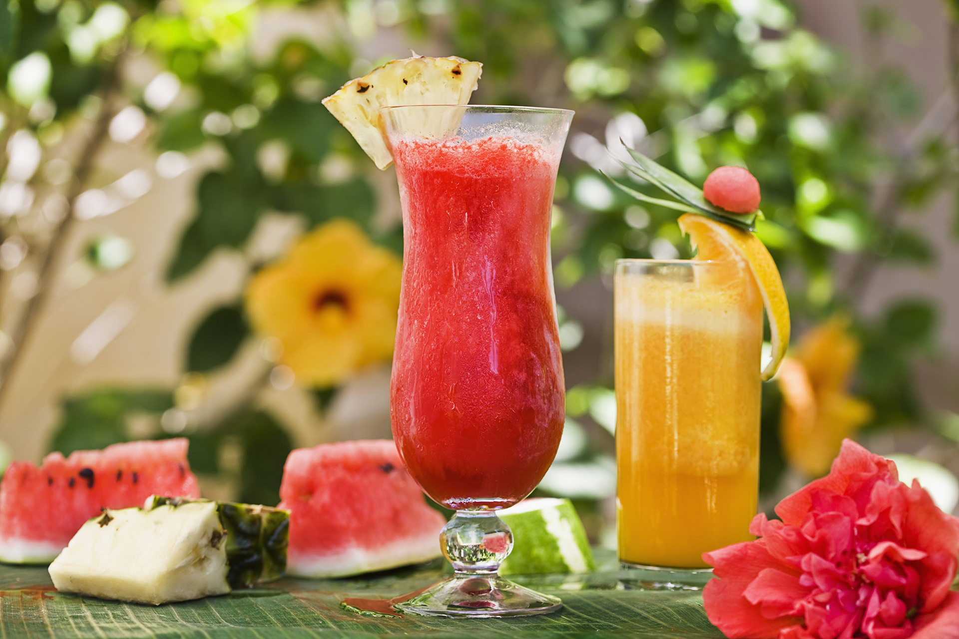 Try Out The Best Cocktails in Cancun With Amazing Mexican Mixology