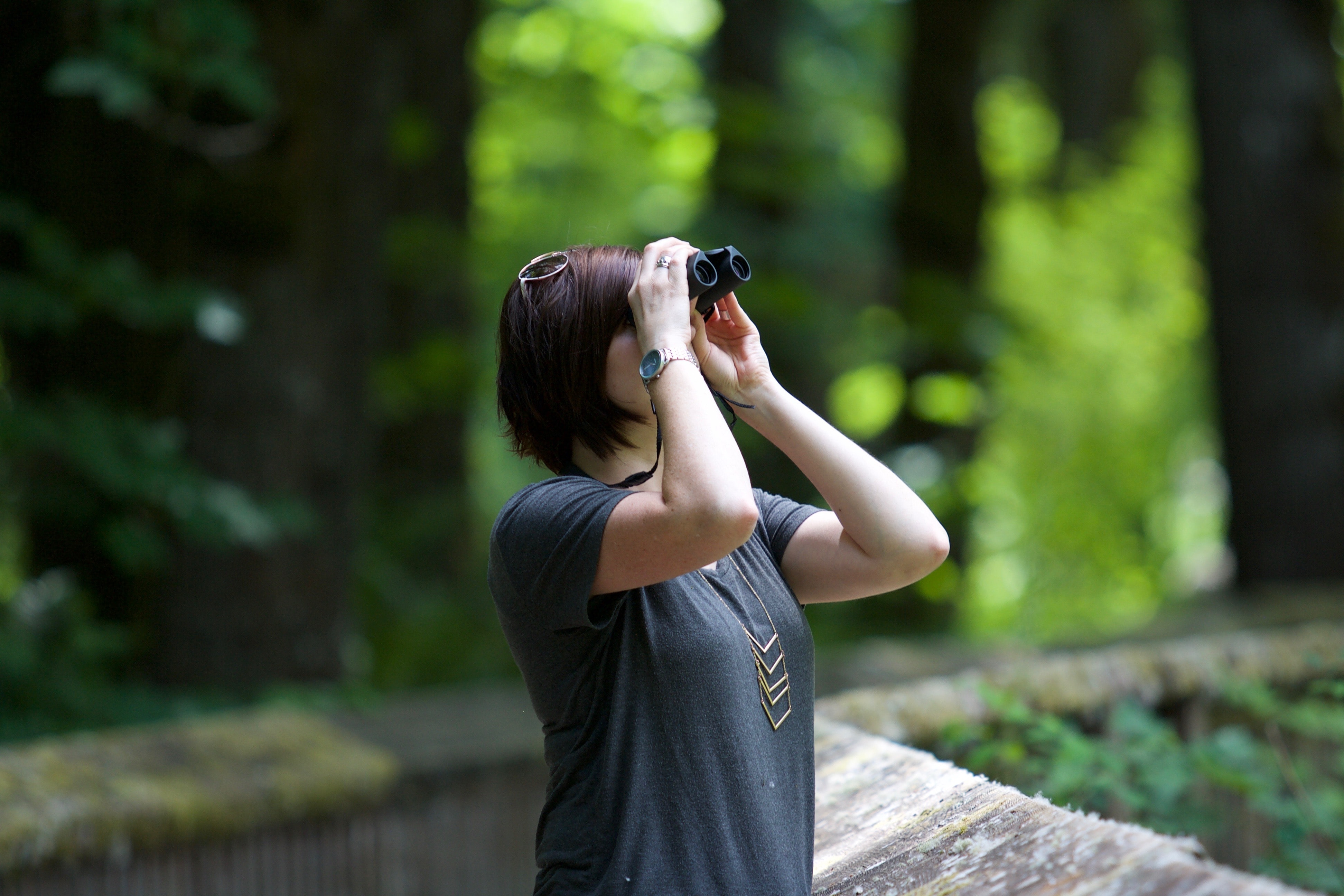 Subequatorial Birdwatching: The Best Birding in The Dominican Republic
