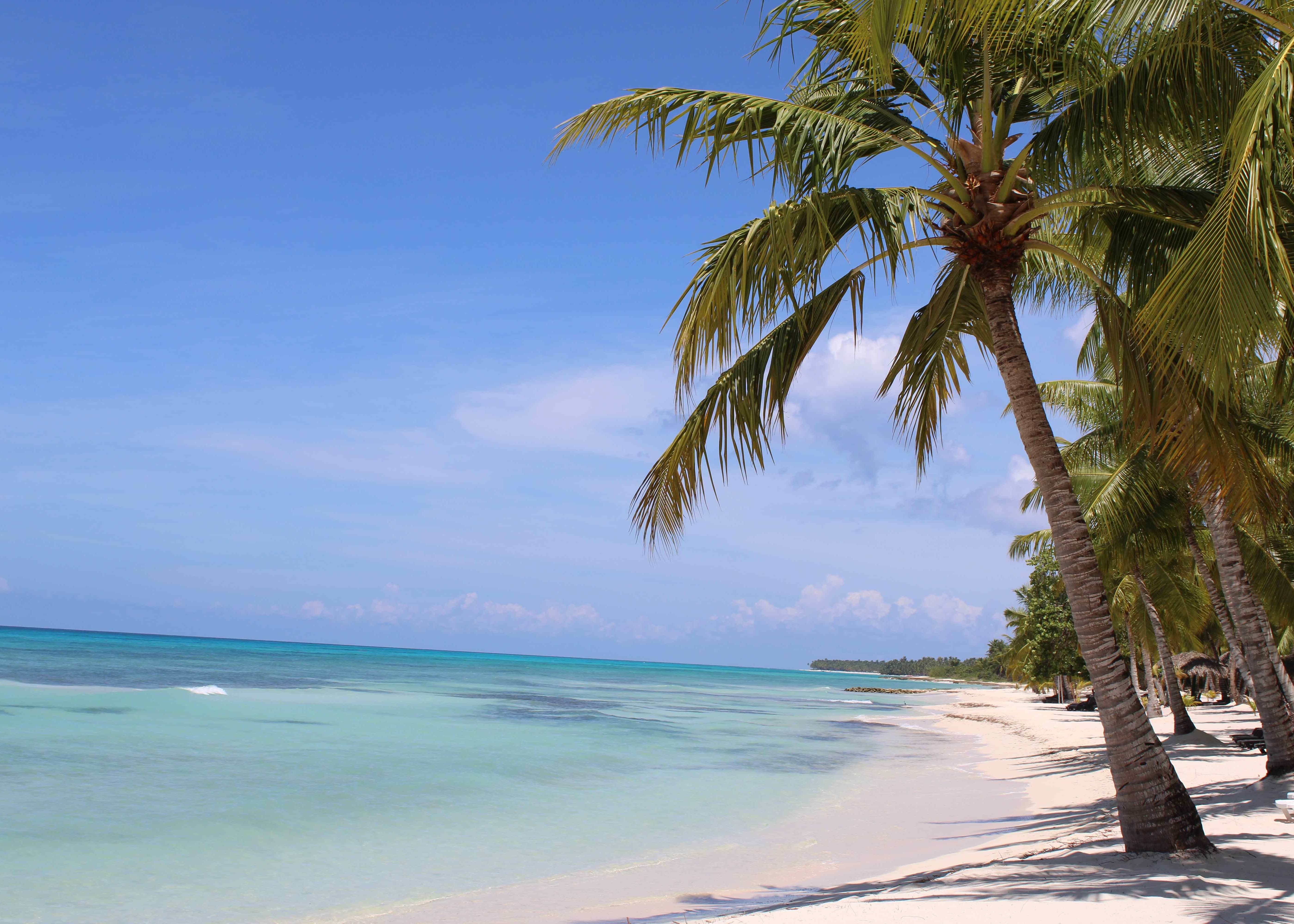 Beach photo of Saona Island's sand and sea Beach photo of Saona Island's sand and sea