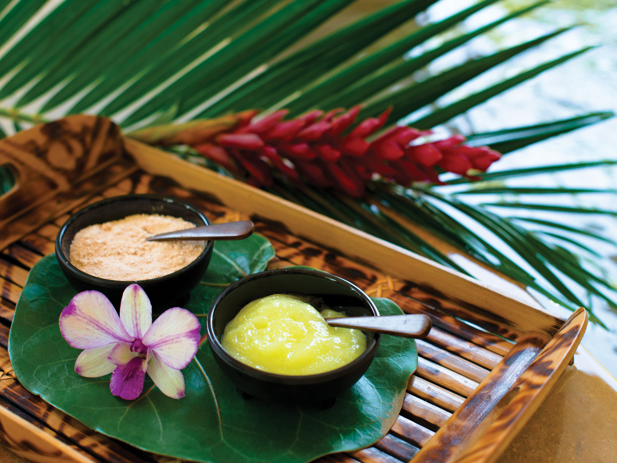 Book Your Stay at Our Punta Cana Beach Resort and Spa