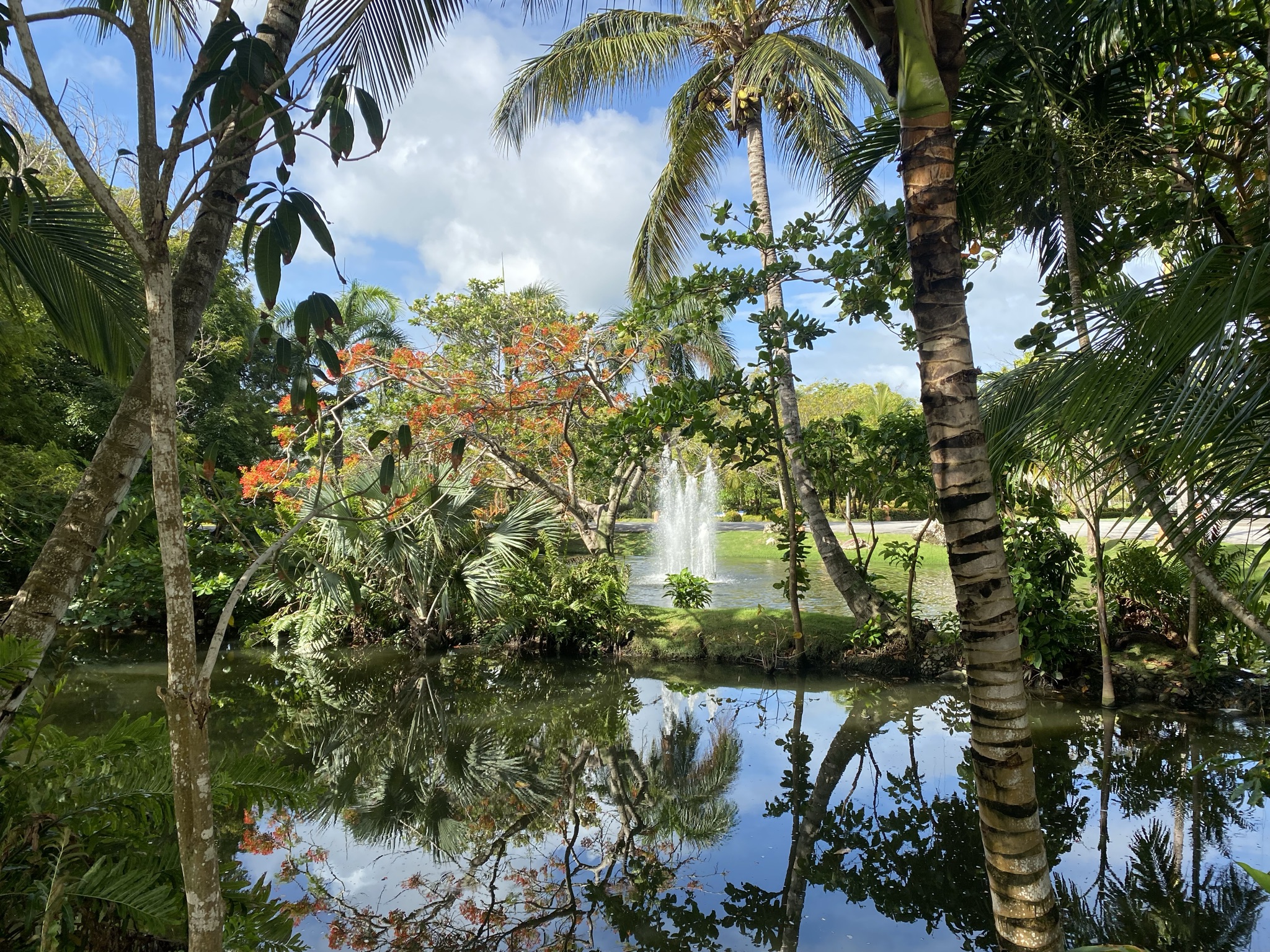 A beautiful ecological park with many tropical trees and plants A beautiful ecological park with many tropical trees and plants